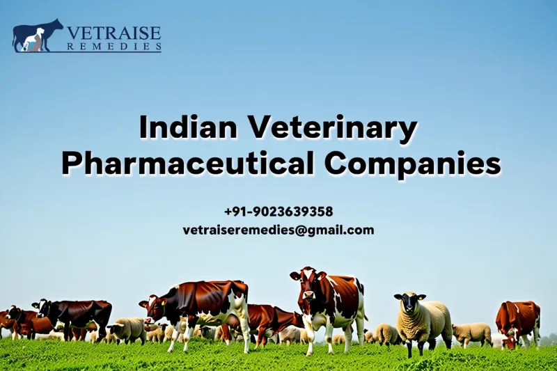Indian Veterinary Pharmaceutical Companies