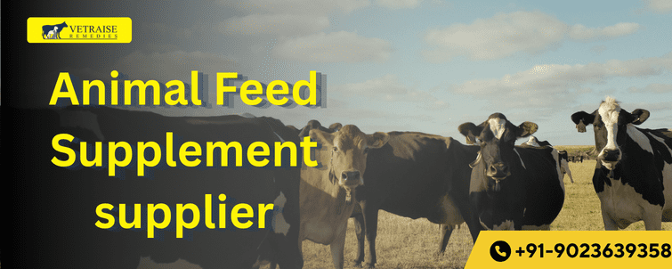 Animal Feed Supplement Supplier