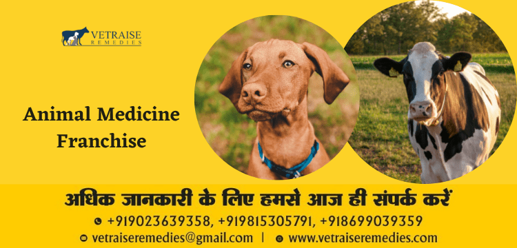 Veterinary Spray pharma franchise