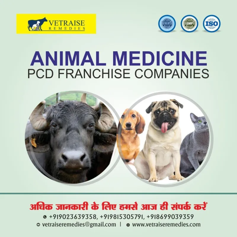 Animal Medicine PCD Franchise Companies