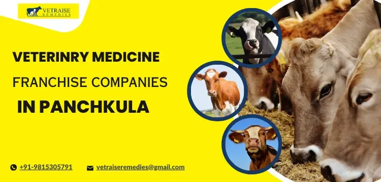 Veterinary Medicine Franchise Companies in Panchkula
