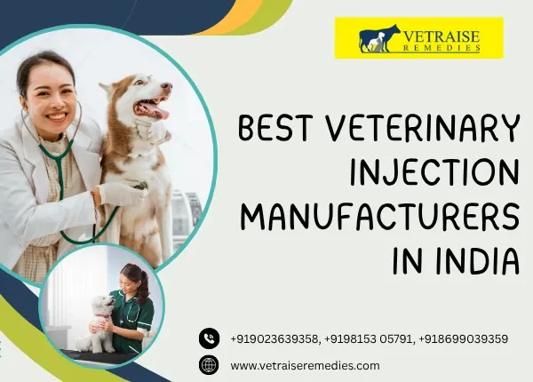Best Veterinary Injection Manufacturers in India