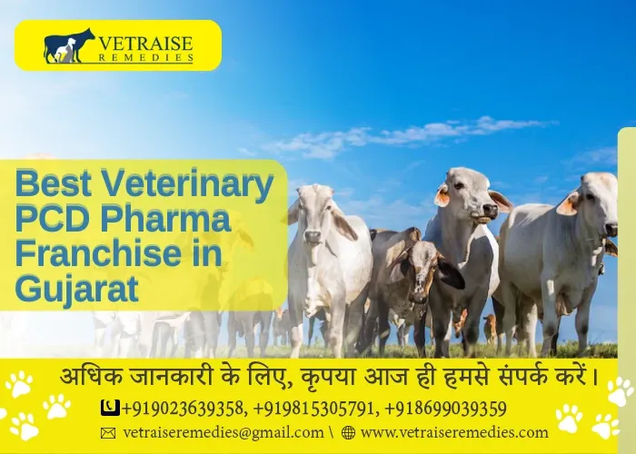 Best Veterinary PCD Pharma Franchise in Gujarat