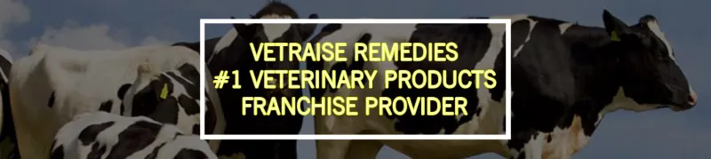 Best Vet PCD company