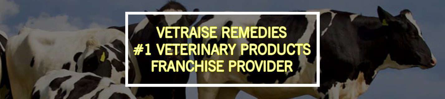 Best Vet PCD company