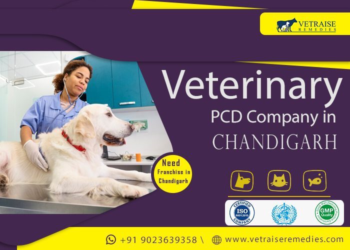 Veterinary PCD Company in Chandigarh