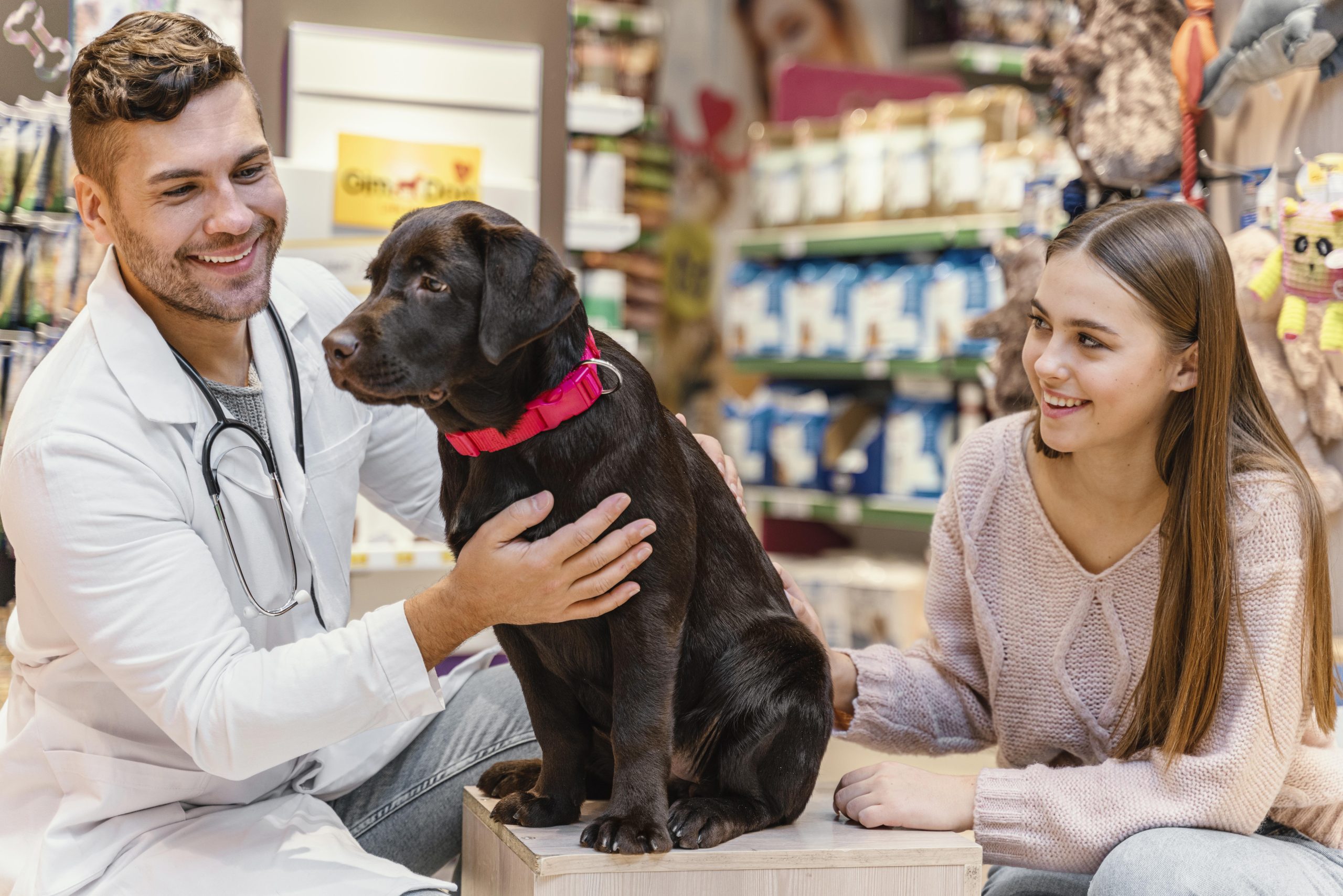 Animal medicine pcd franchise companies