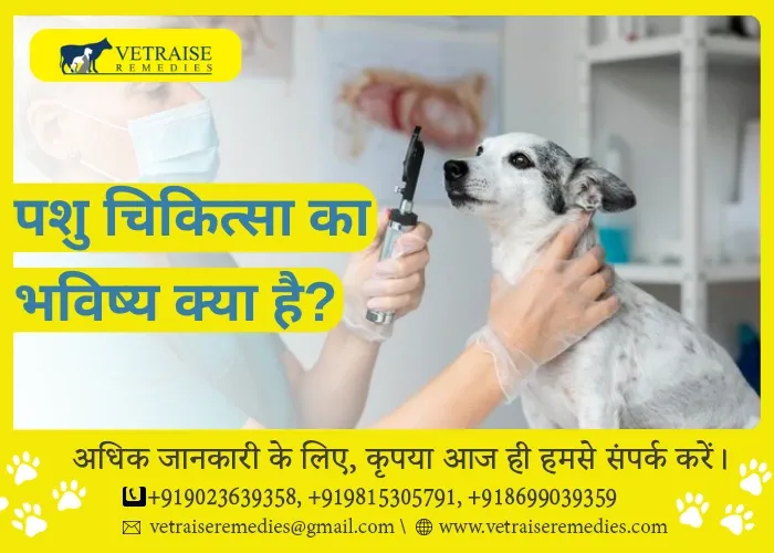 पशु चिकित्सा का भविष्य क्या है?