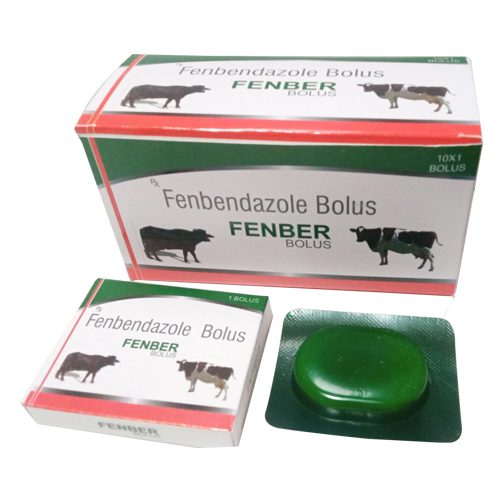 FENBER