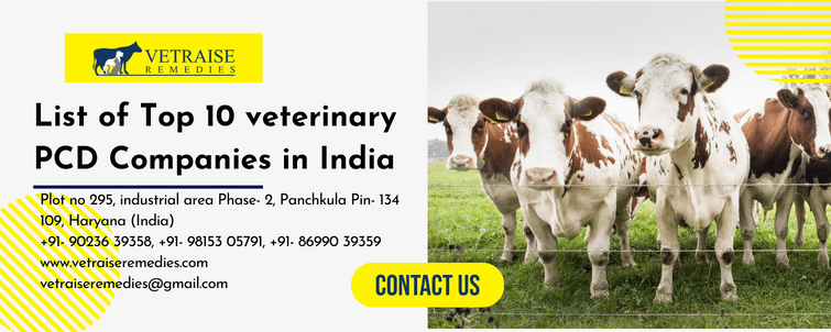 List of Top 10 Veterinary PCD Companies in India