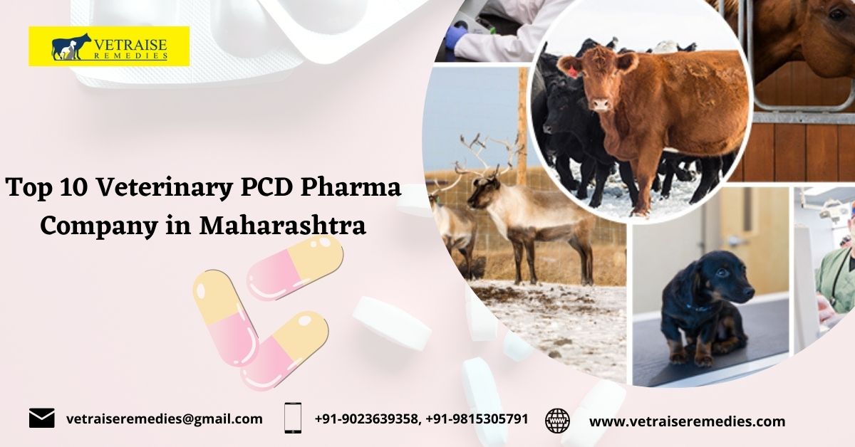 Top 10 Veterinary PCD Pharma Company in Maharashtra Top 10 Veterinary PCD Pharma Company in Maharashtra
