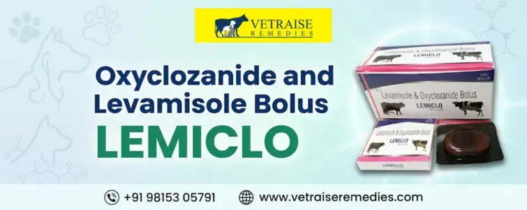 Oxyclozanide and Levamisole bolus