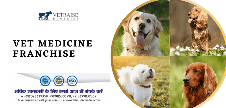 Vet Medicine Franchise Vet Medicine Franchise