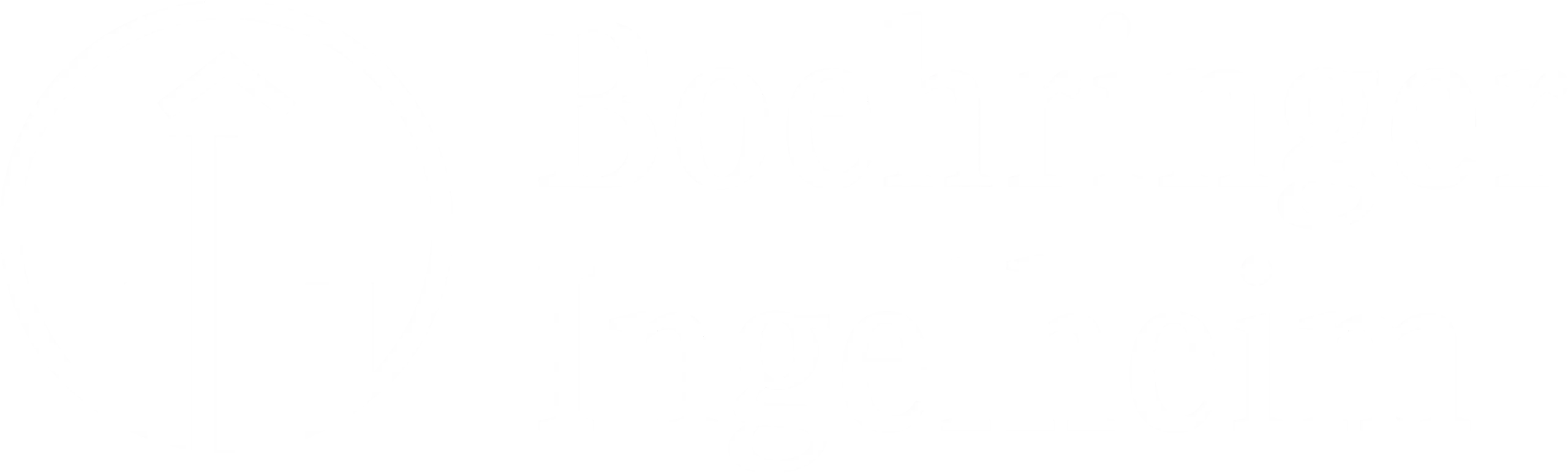 Boehringer Ingelheim
