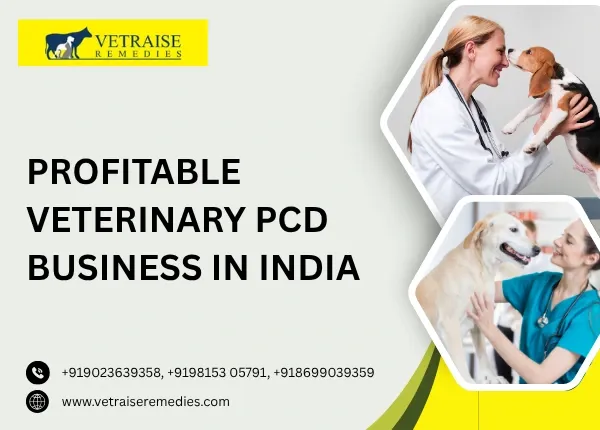 Profitable veterinary PCD business in India