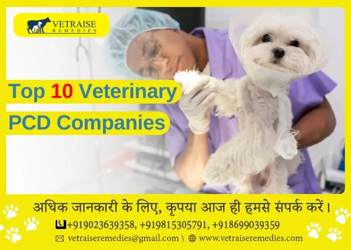 Top 10 Veterinary PCD Companies