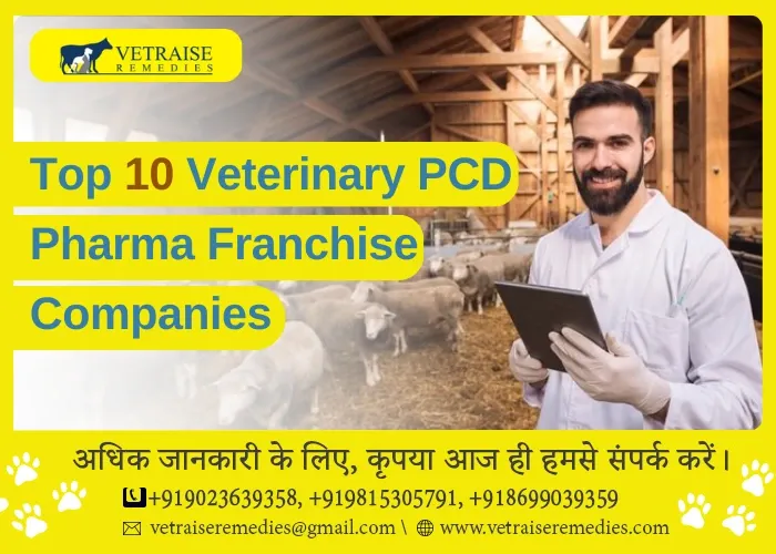 Top 10 Veterinary PCD Pharma Franchise Companies
