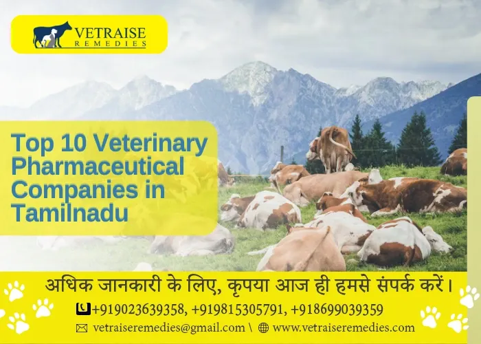 Top 10 veterinary pharmaceutical companies in tamilnadu