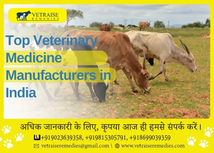 Top Veterinary Medicine Manufacturers in India