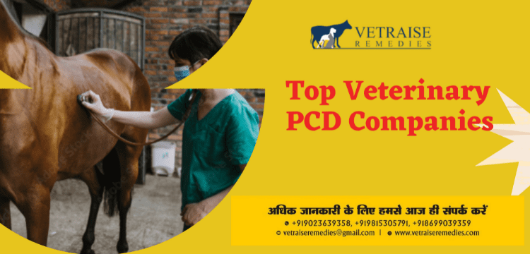 Top Veterinary PCD Companies