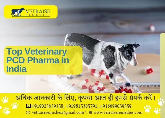 top veterinary pcd pharma in india