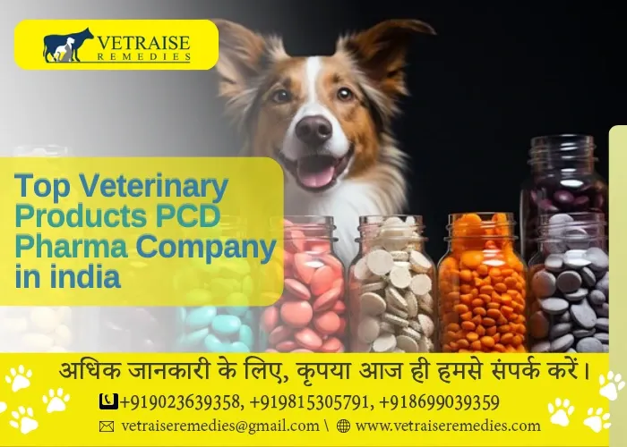 Top Veterinary Products PCD Pharma Company in india