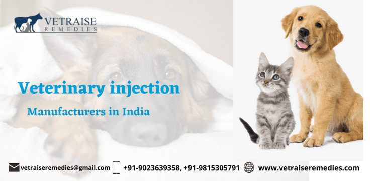 Veterinary injection manufacturers in India