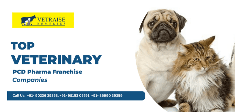 Top Veterinary PCD Pharma Franchise Business Opportunities In India