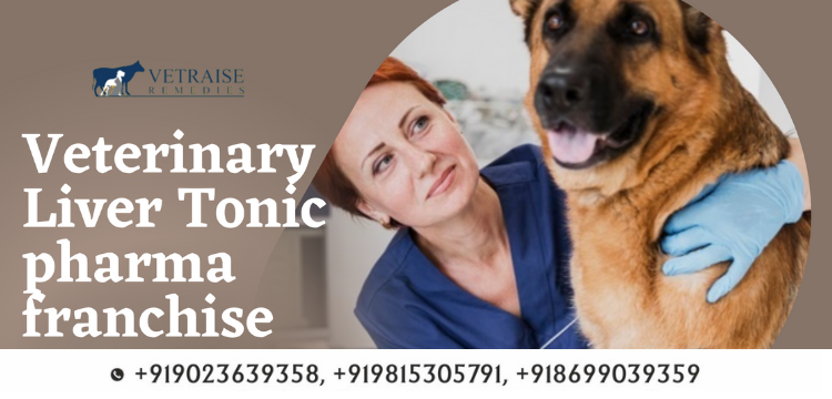 Veterinary Liver Tonic pharma franchise