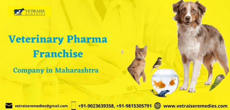 Top 10 Veterinary PCD Pharma Company in Maharashtra
