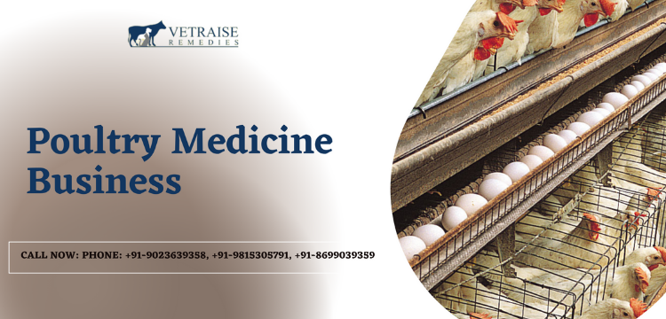 Poultry Medicine Business