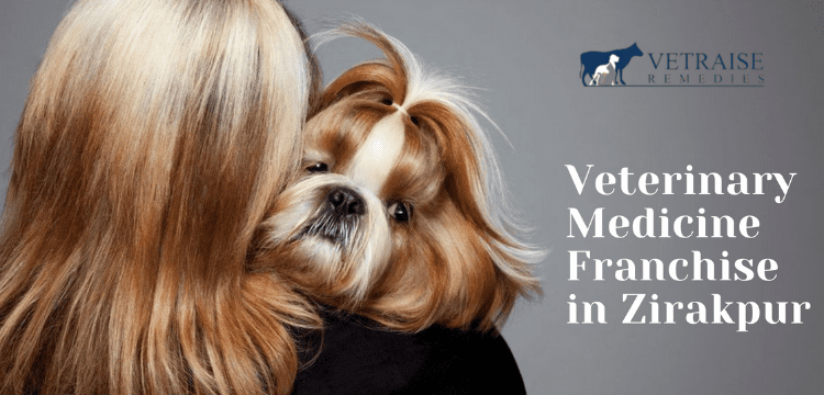 Veterinary Medicine Franchise in Zirakpur
