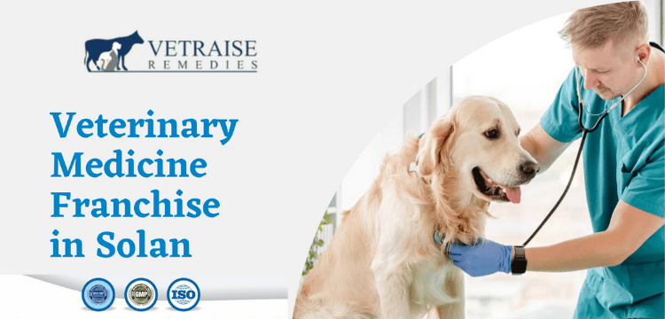 Veterinary Medicine Franchise in Solan