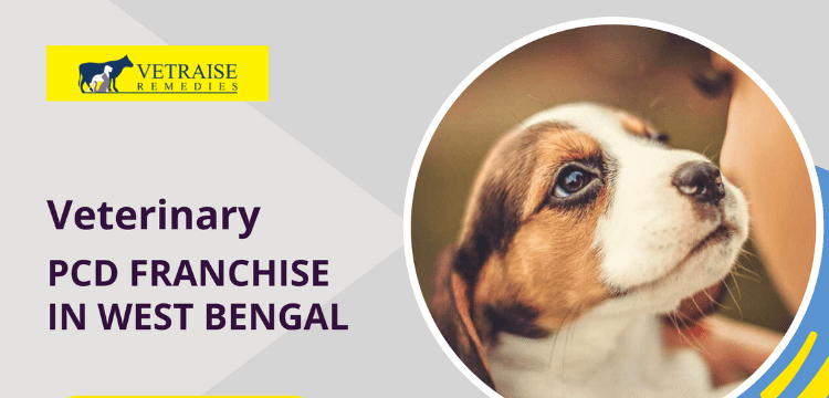 How to Get Veterinary PCD Franchise in West Bengal