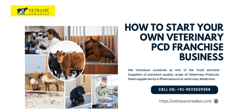 How to Start Your Own Veterinary PCD Franchise Business