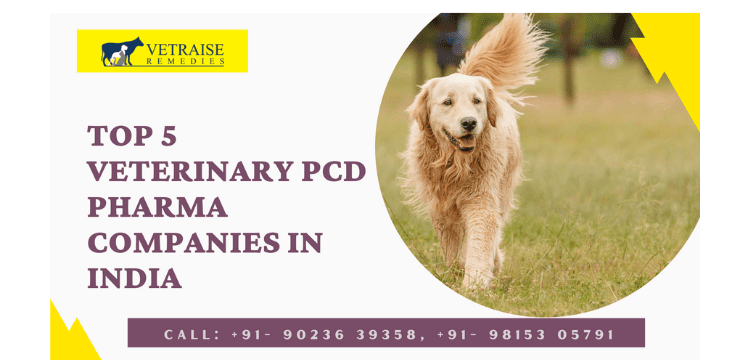 Top 5 Veterinary PCD Pharma Companies in India
