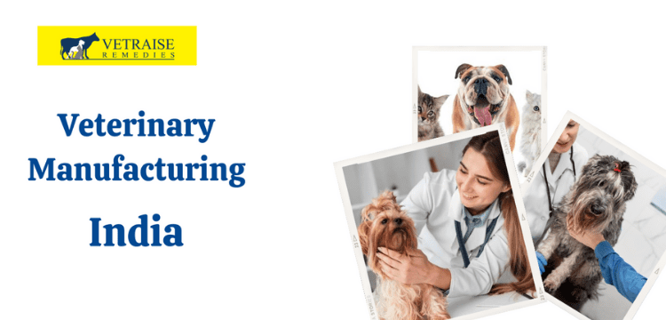Veterinary Injections Manufacturing Company in India