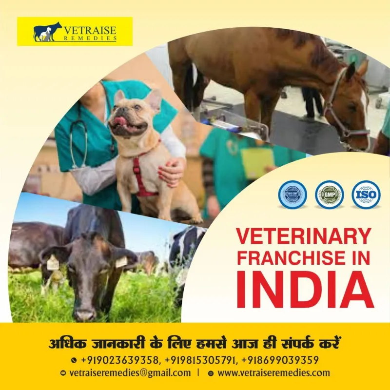 Vet PCD Franchise in India