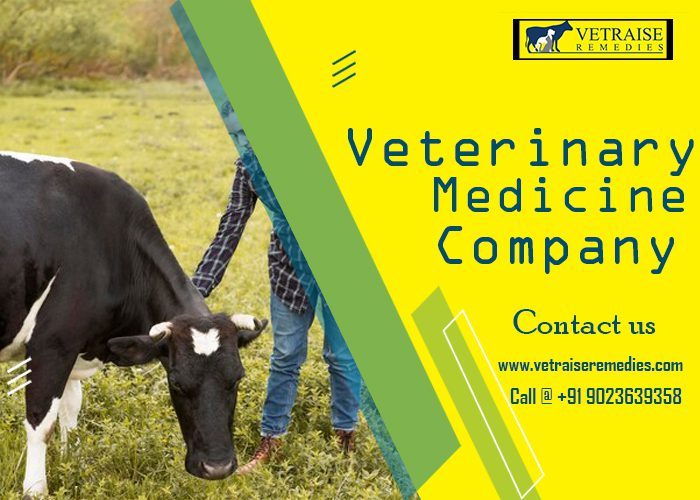 Veterinary Medicine Company