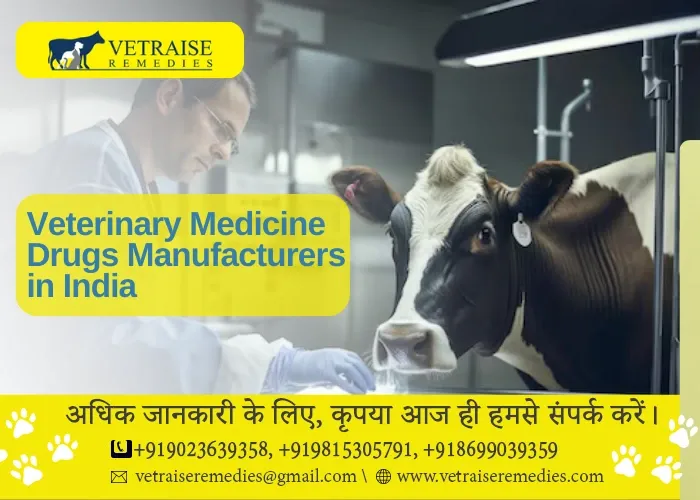 veterinary medicine drugs manufacturers in india