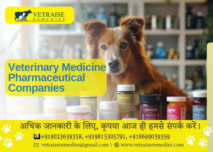 veterinary medicine pharmaceutical companies
