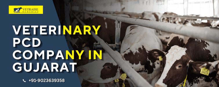 Veterinary PCD Company In Gujarat