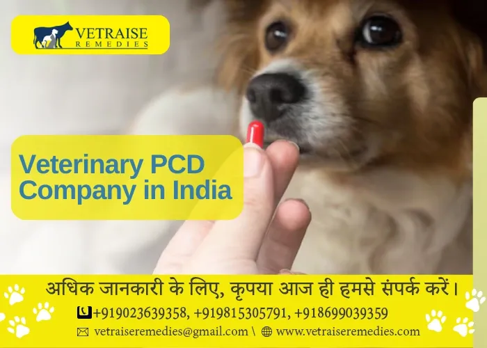 Veterinary PCD Company in India