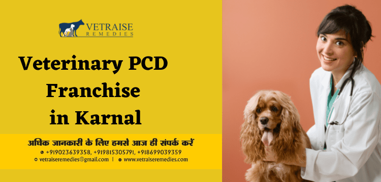 Veterinary PCD Franchise in Karnal