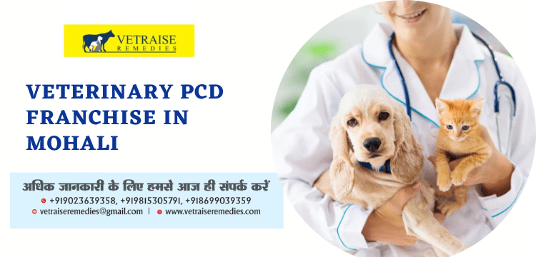 Veterinary PCD Franchise in Mohali