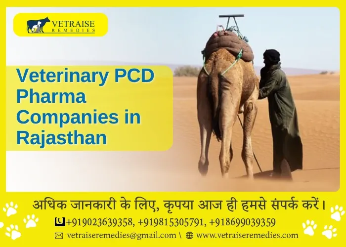 Veterinary PCD Pharma Companies in Rajasthan