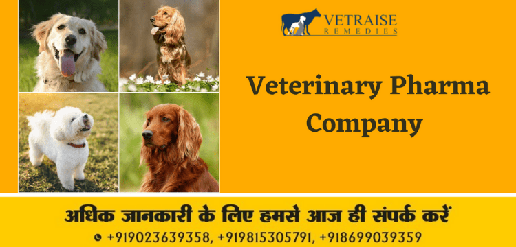 Top Veterinary PCD Companies Top Veterinary PCD Companies