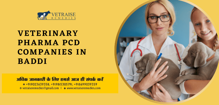 Veterinary Pharma PCD Companies in Baddi