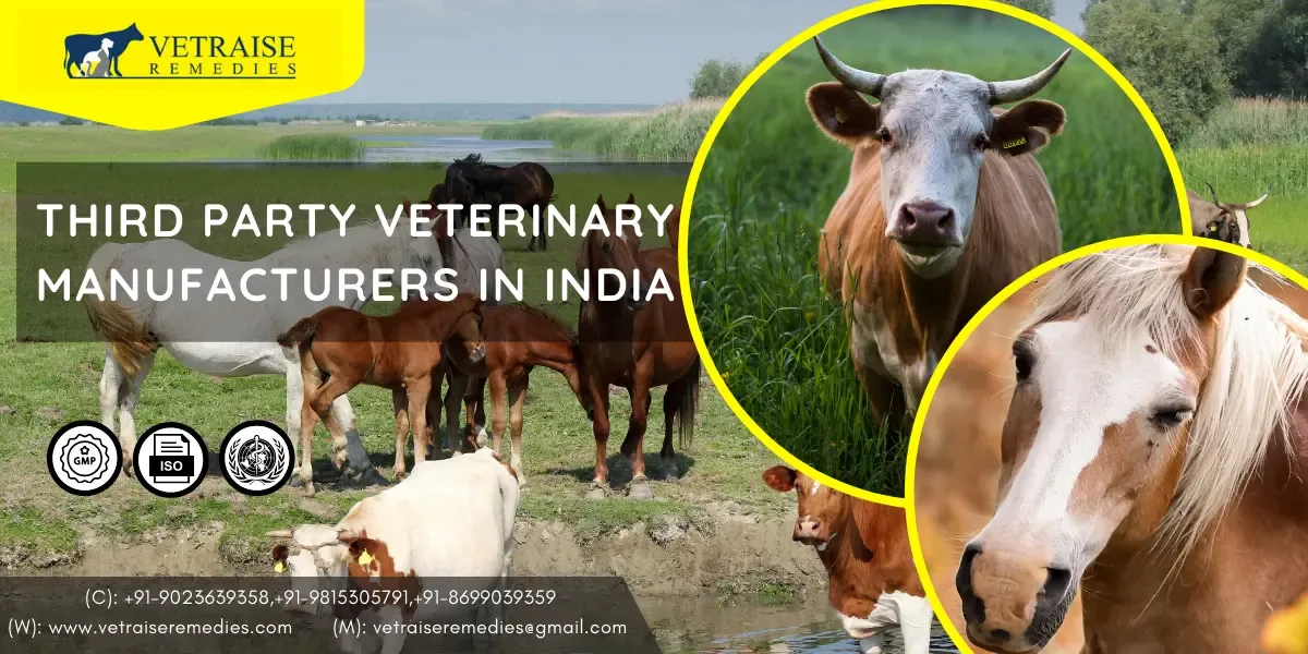 Third party Veterinary Manufacturers in India