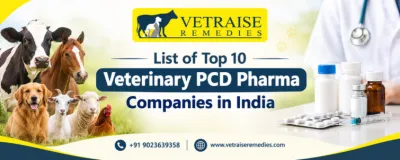 List of Top 10 Veterinary PCD Pharma Companies in India